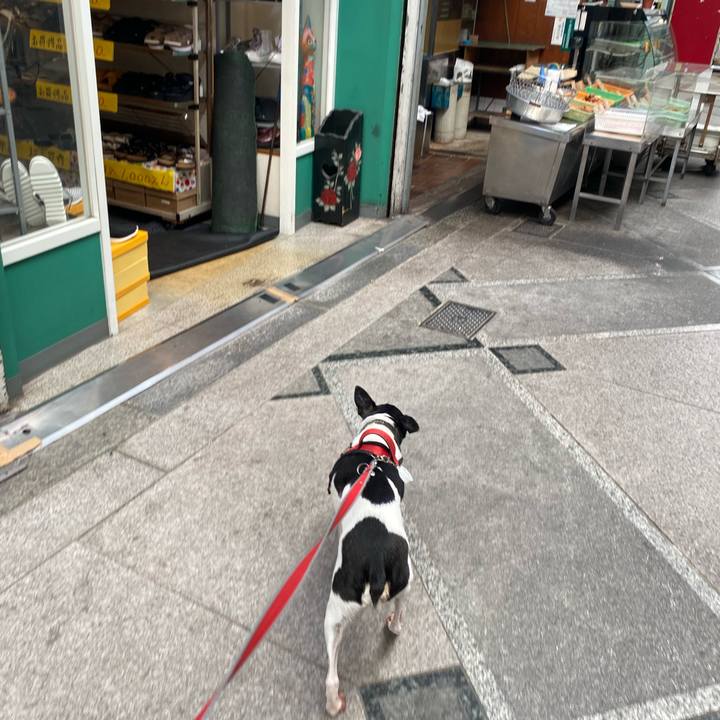 7e34a5b6 c4a6 4404 b728 3f215c9ccf5b 1590805888058