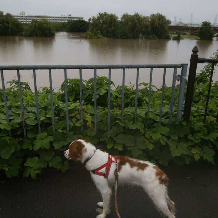 7e34c76e a5a0 4075 ad53 ba3c11861f4b 1530866630650