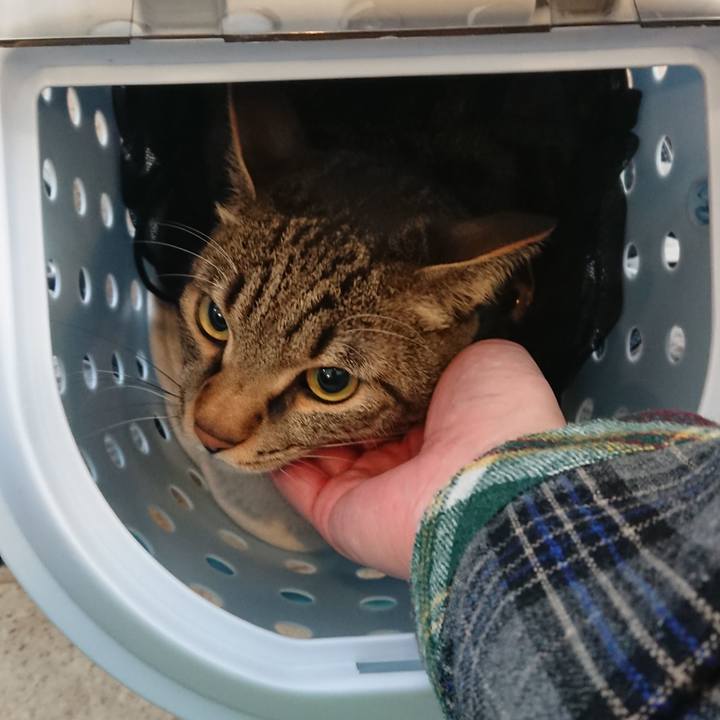 7e34d6d6 4367 411e 9cbf f3744db0e91b 1514598839454