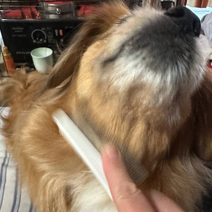 7e34e37a a8f2 4da6 b9a7 0cfd8b0226ca 1740433442037