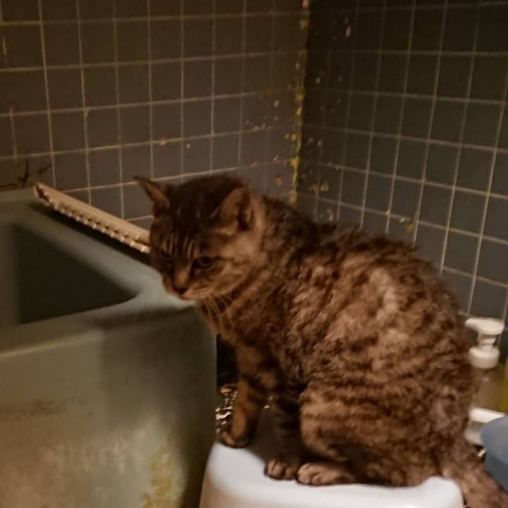 7e34f32d fee4 4542 bc8c f30d97bc5a32 1571047667702