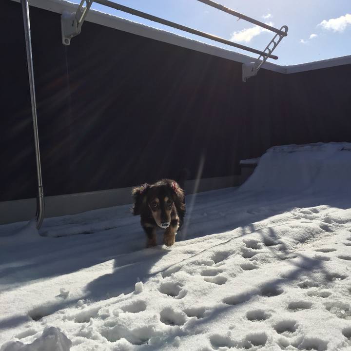 7e34f4f4 a3bf 40eb b453 eb2950d3c422 1516866858147