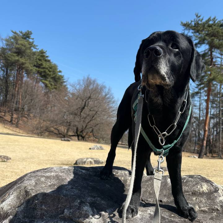 7e3522d8 2c92 41ff 8381 f0f44a717d34 1774177021000