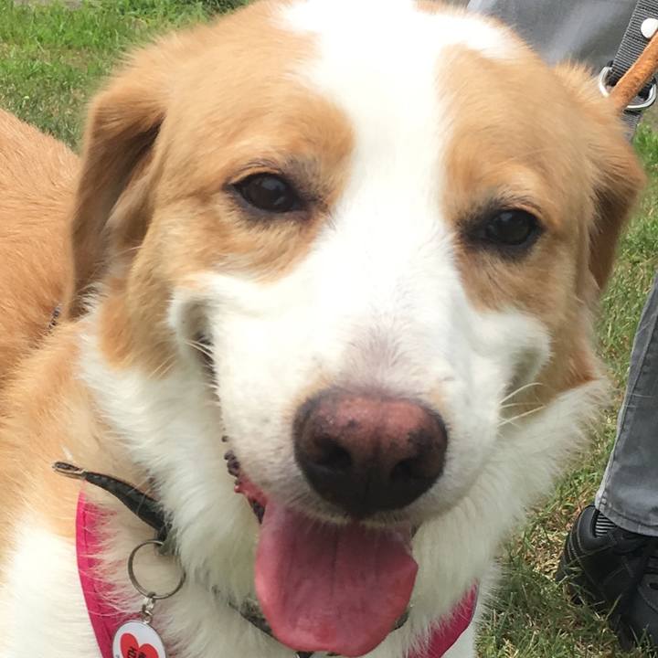 7e35565b 54f2 4b38 a66b e816ac5116af 1532506911618