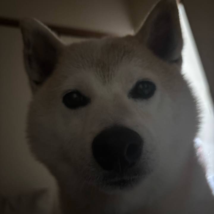 7e356fce 0a9c 4412 b4a5 11a4c536cd36 1748038090461