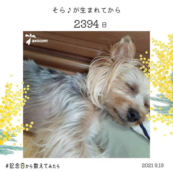 7e359770 12ec 4d83 9429 3a24a98488b9 1632016259169