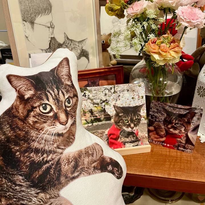 7e35ab57 e3c5 4b91 9f48 17427851ce11 1775050092524