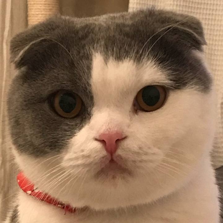 7e35c390 dc69 4d20 9b9d 8a83afa50a17 1514086648601