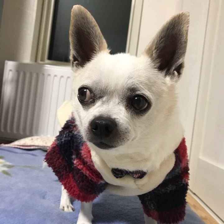 7e35c704 8418 4002 bb9a 01dcde3c42e6 1645060307339