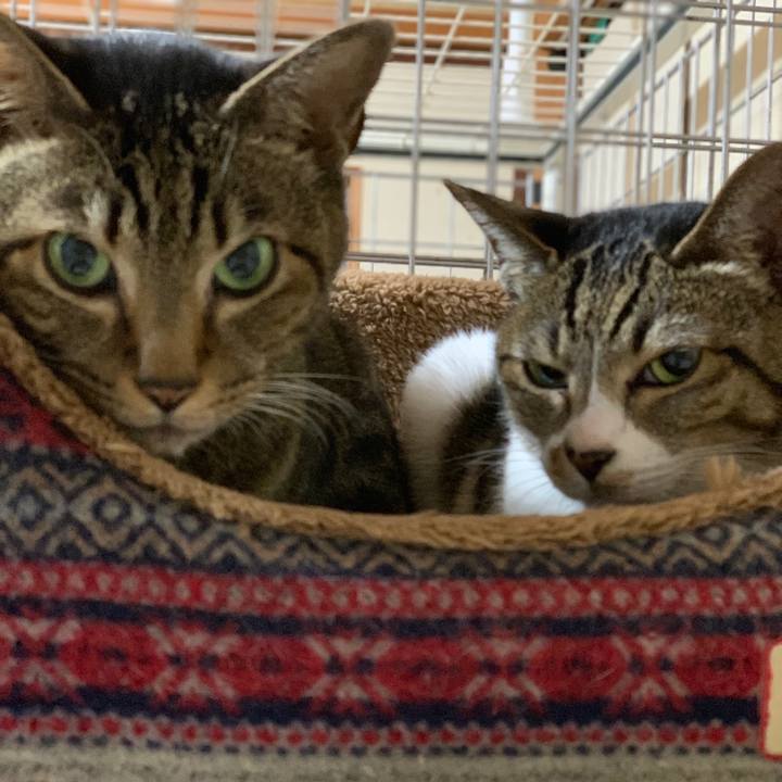 7e35d6c1 b9a3 4c38 bd9d c3e617e1cdfa 1543454435400