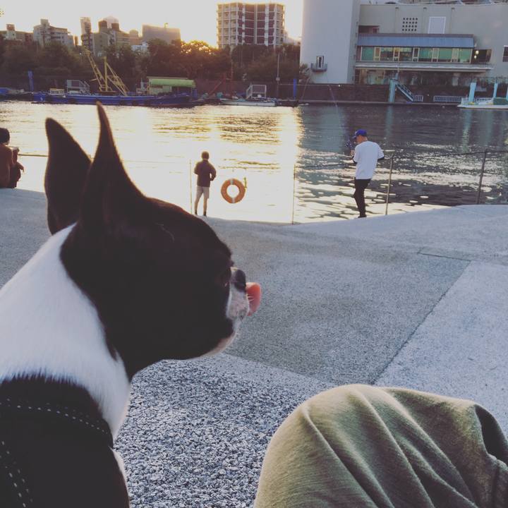 7e35df07 7a9e 4e28 95f5 3af4a7438866 1541949068321