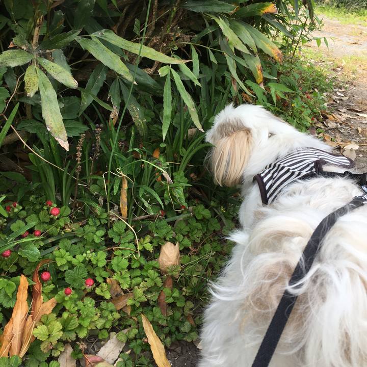 7e35f729 6380 4325 a7a1 d9d65edbd0dd 1621136822977