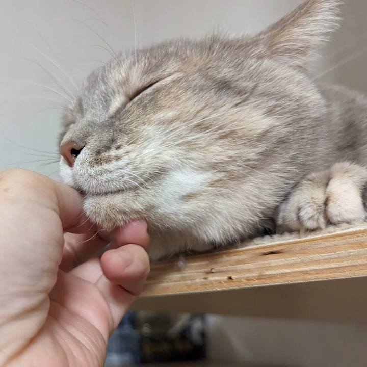 7e3600ba 14ff 4134 ae3c 48785acf748e 1701588650906