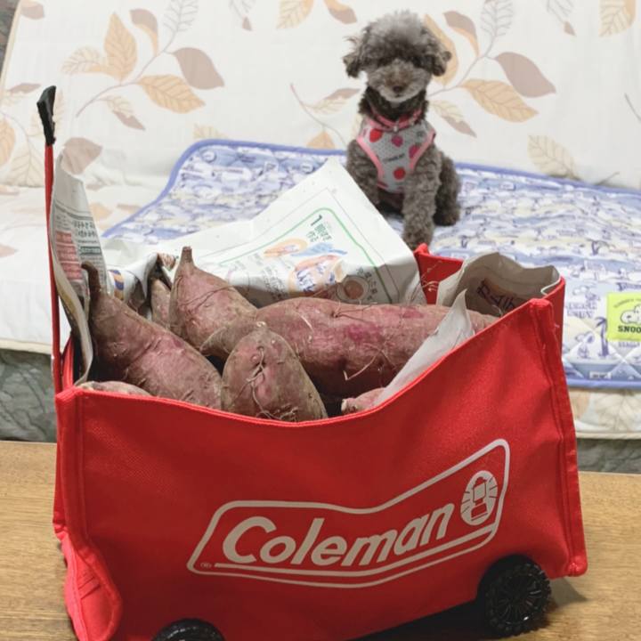 7e365755 ba10 41c7 a760 3dc7b0d645e9 1632563477159