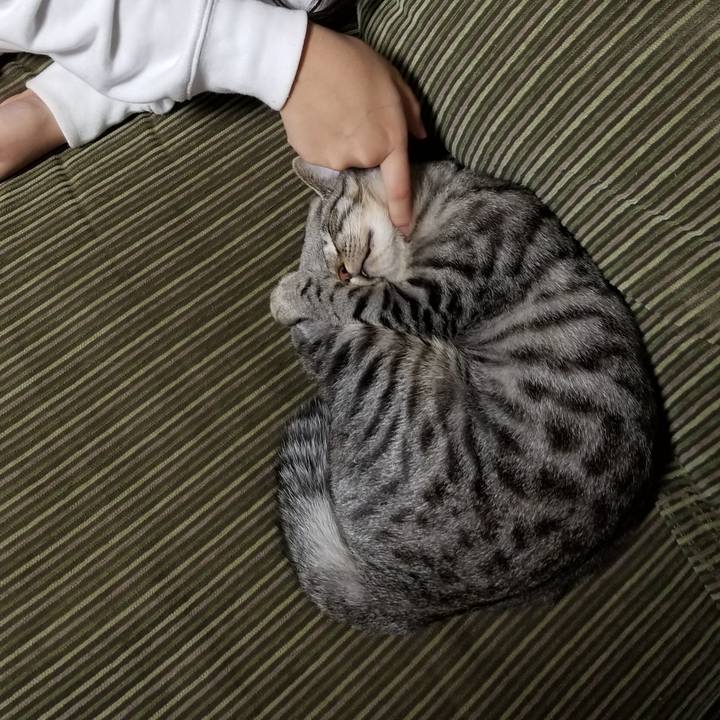 7e36823c da51 4d9a 9a87 178302afe20e 1673318592026