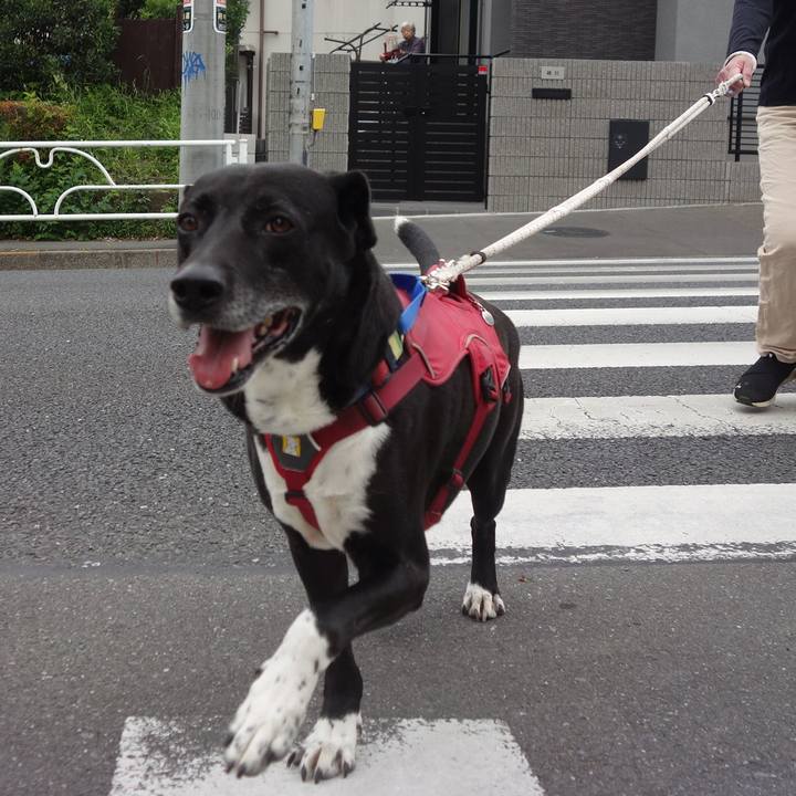 7e369378 7d87 4fea 82ad 206dbc1b5c34 1683937114191