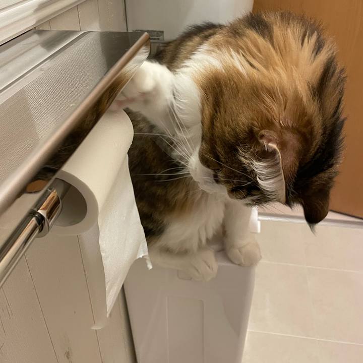 7e3694f1 a9f6 435f 8721 ce7bdf025268 1665261281613