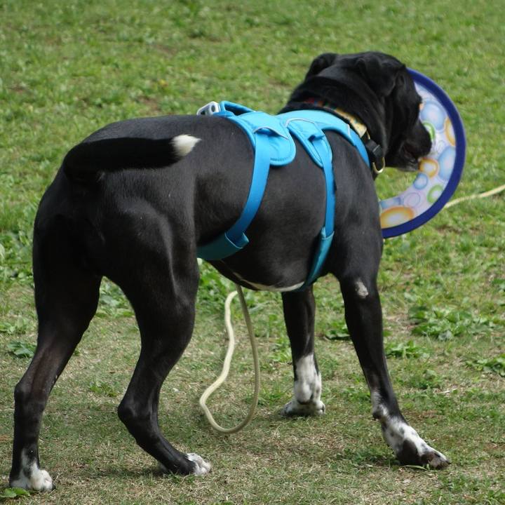 7e369707 c986 4413 9d96 877519546386 1618535587039