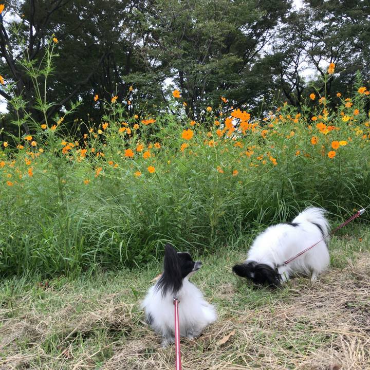 7e36d57b ccf6 4724 89fb f37aefb9635b 1536703938652