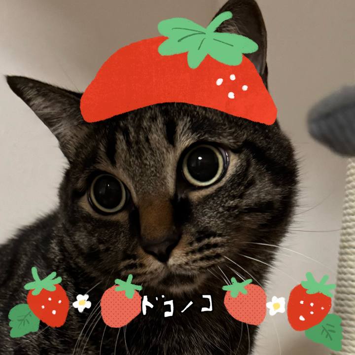 7e3704ed fa07 4792 8f39 df739183ab5b 1775186495189