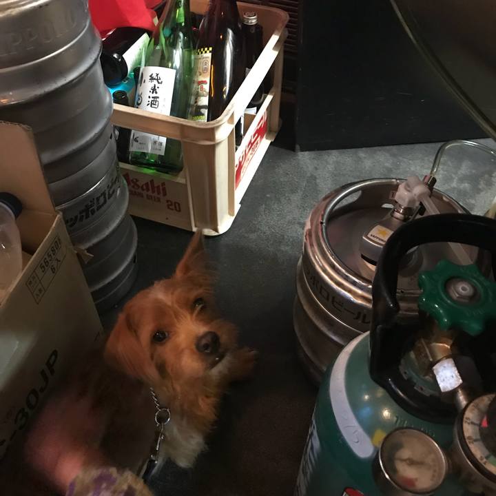 7e37332f a8d2 4586 b49b c614017ba5b5 1538135423221