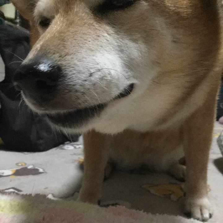 7e37377e 936d 4e39 b2f3 cc20cf60f96c 1605428195364