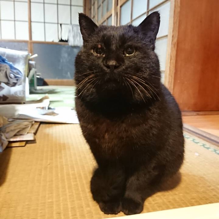 7e375529 6b76 4664 b001 0c3116d8fdad 1615466443346