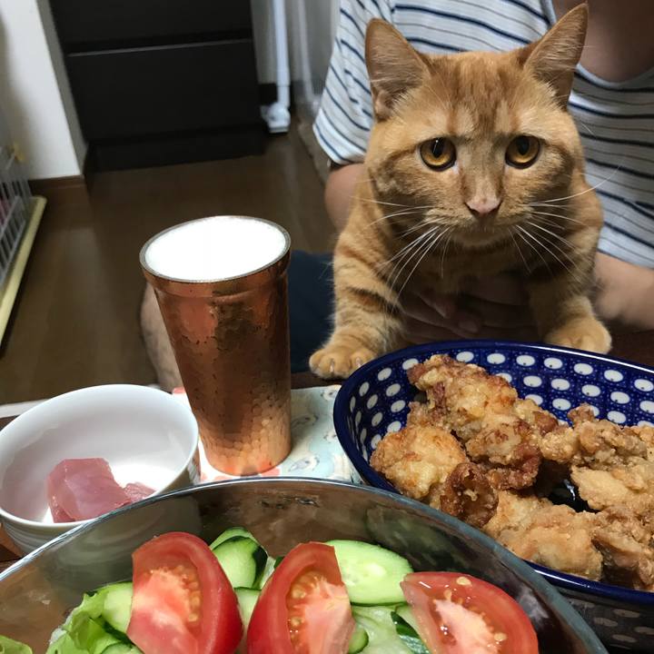 7e377f05 59cd 4b1e 8612 09ddf72b34fc 1531567970618