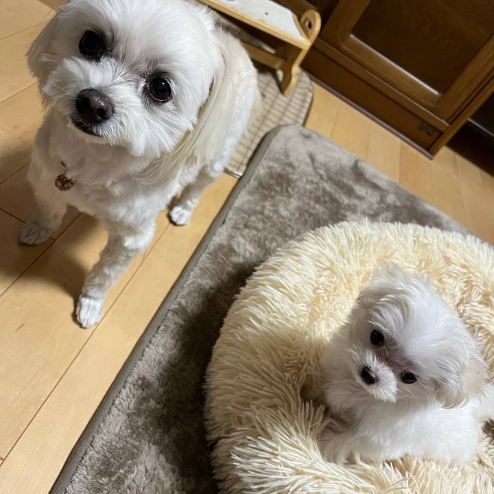 7e37984f 322f 4866 ae92 01ad3f86c57d 1700899949779