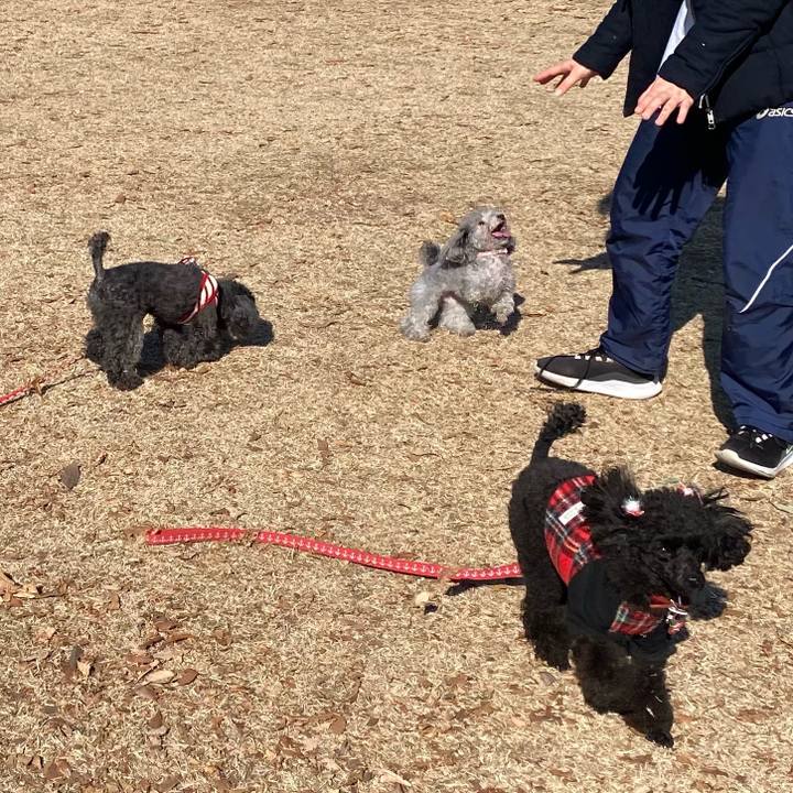 7e379e02 1cf2 49ec 9559 b93ff54b2d66 1611287787068