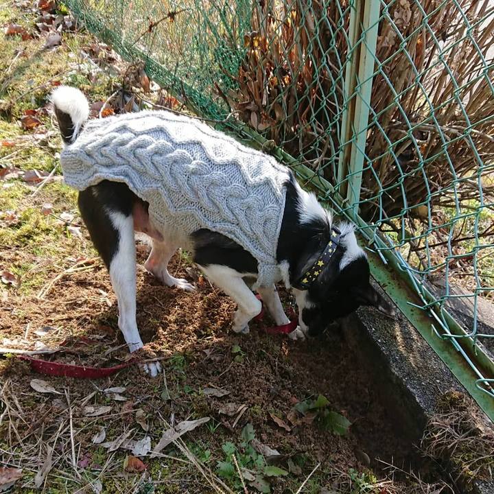 7e37bd20 d899 408d 9a72 179b24623f2e 1545745775750