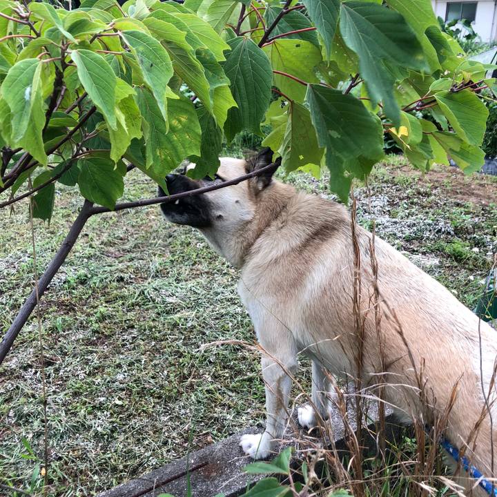 7e37c0a9 4783 4ead b8c6 3cec0e1bd406 1564051348796