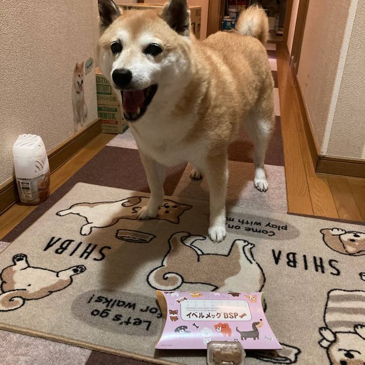 7e37cdfd 5356 4c66 917b 4d8f43f5e1e7 1622550292000