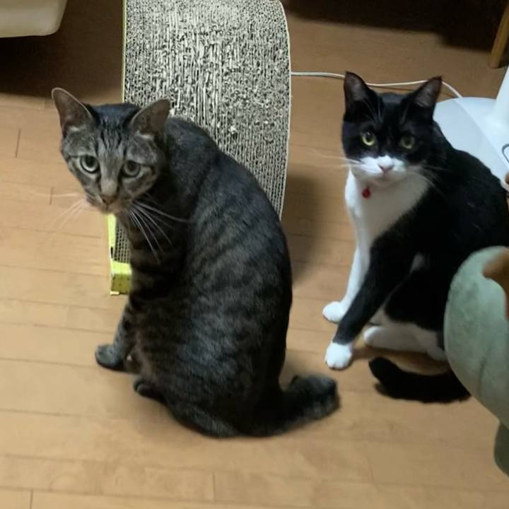 7e37ceeb 2c40 4a5c b467 da08a7e50531 1626096329944