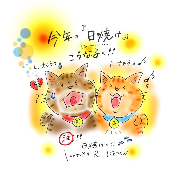 7e37dd14 5011 44b7 9661 4f3b3cda8ecd 1596397743040