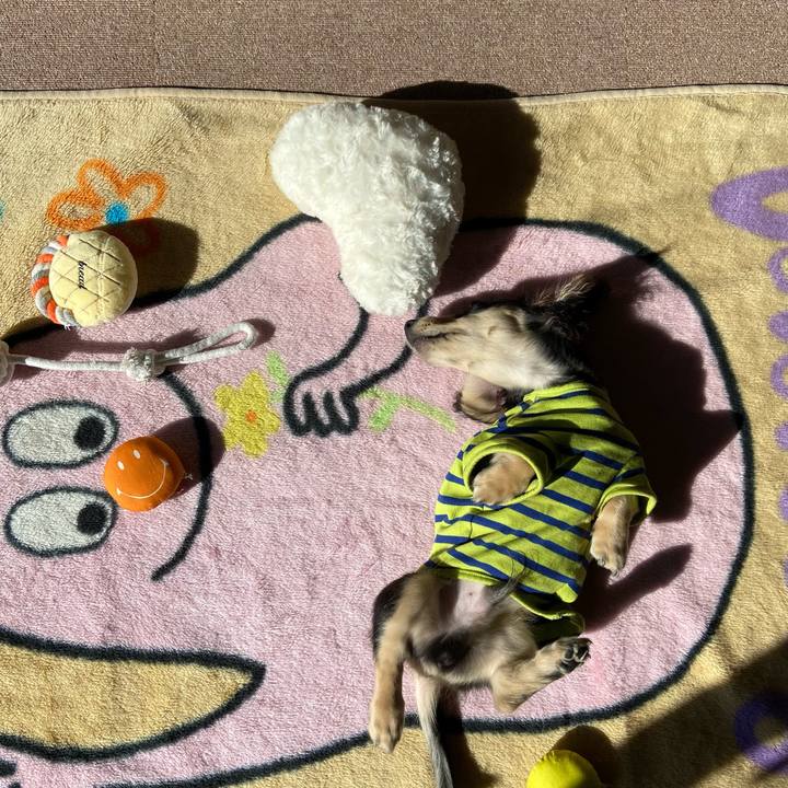 7e37e58d 87a1 43f8 a696 8700b1d554a7 1668646410466