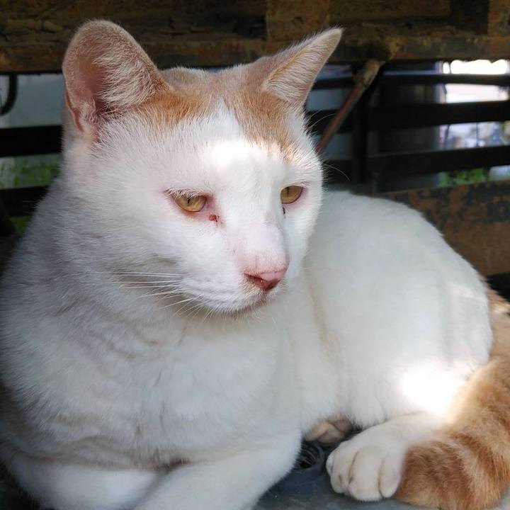 7e389626 8373 4f6f 88e6 7a9c888e9ecd 1600697484041