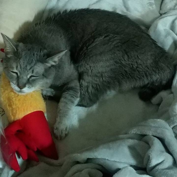 7e389eba 53bd 4992 8c5a 445faaacce1d 1760051024893