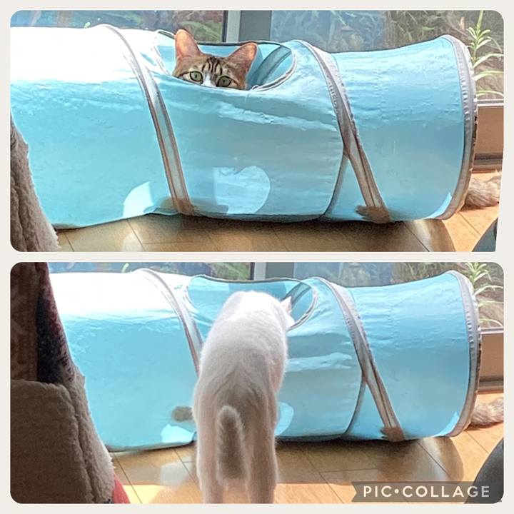 7e38b361 e7ba 466c b7df b4d64d54cafc 1693108864038