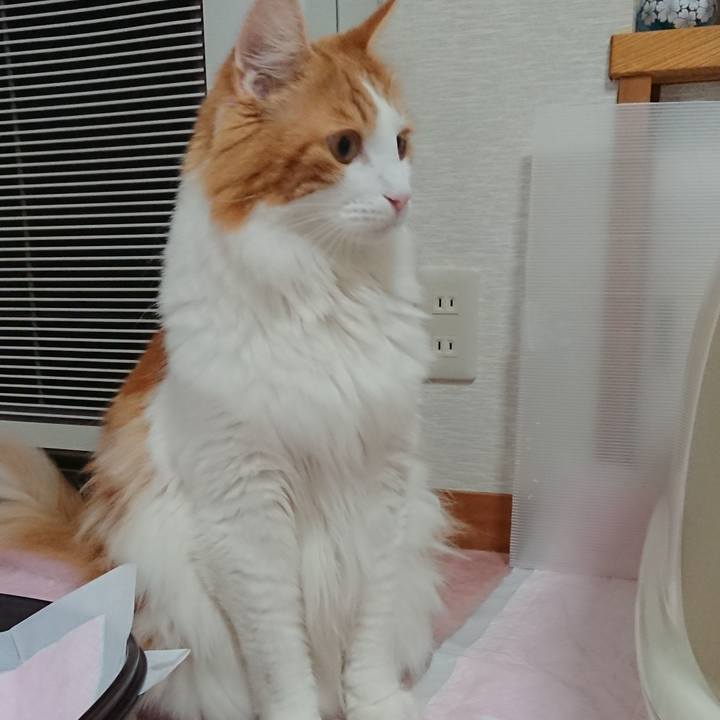 7e38ecfe 2786 4b70 9544 b7dc5f60fe4d 1537582463164