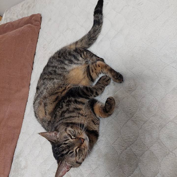 7e3914d9 f60c 46dd 8224 c7b7d1163272 1644273771733