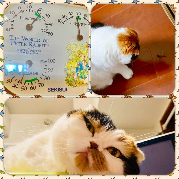 7e391664 d6c6 42fb 9cf5 c7c2462af89c 1569460207342