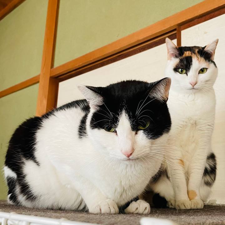 7e39518c 38b7 4da3 8ba1 b2f6dbcb3d9a 1611799747783