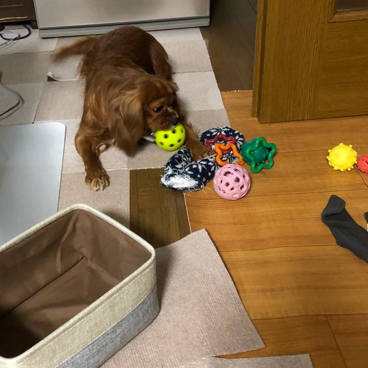 7e3963cd 1c54 468d ad06 7454b80509d9 1527288371246