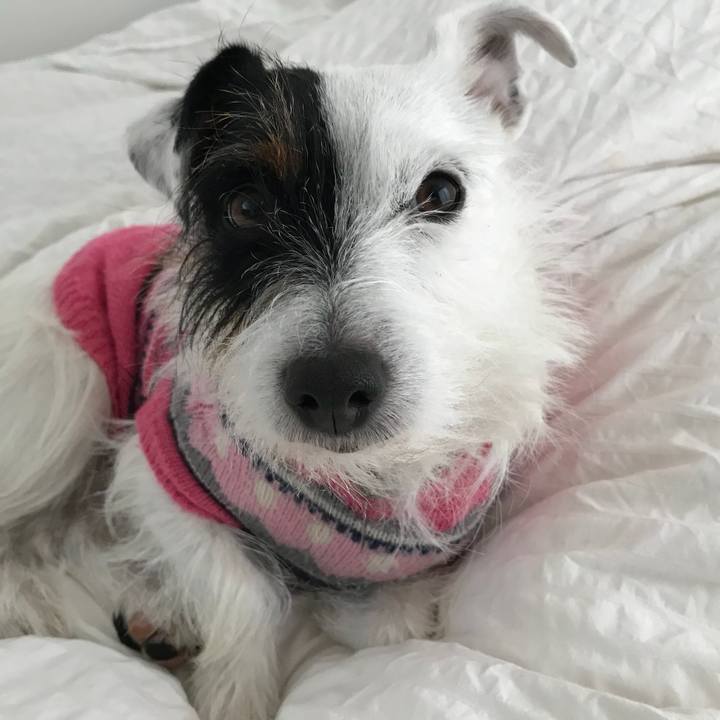 7e396b94 25f8 4e67 a806 b35cba11491f 1513293801136