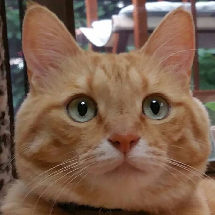 7e398c3e d0ab 4d9a 83b8 f9fb36e4f229 1529114837527