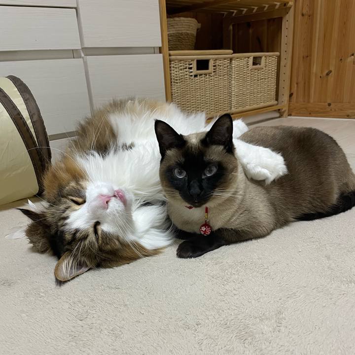 7e39afe2 ba12 4b27 bb36 1a29b5f5aaab 1773441035940