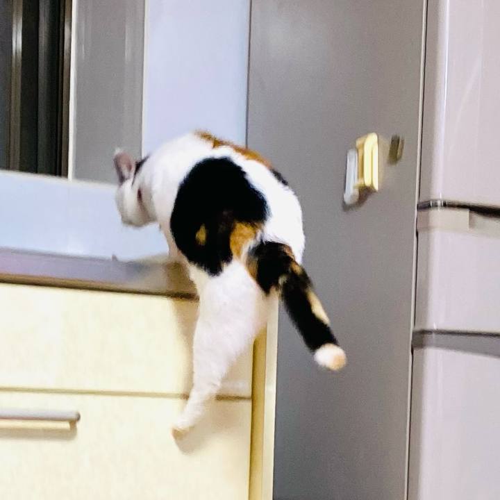 7e39b237 5e01 45b7 b6a1 167492fec313 1666441962216