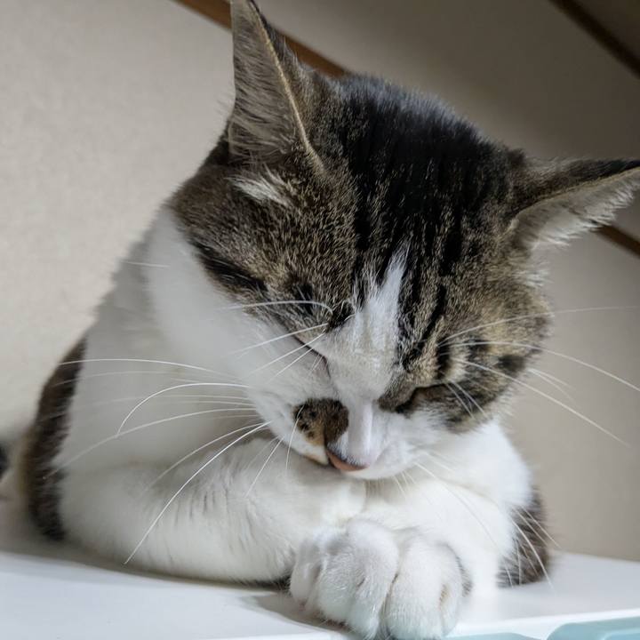 7e39d9fa 815d 490d 92d4 82610b587acd 1743677114102