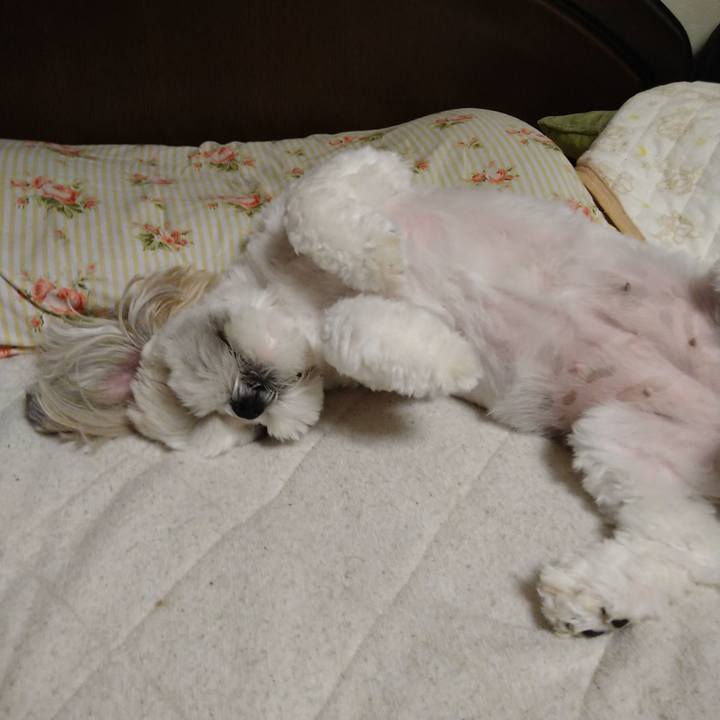 7e39f5a1 ebef 413b bf0b bada079460c8 1655987345089